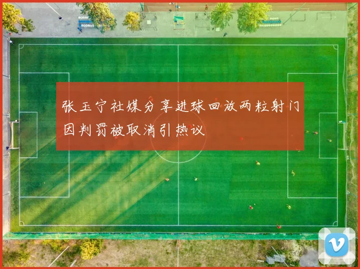 张玉宁社媒分享进球回放两粒射门因判罚被取消引热议