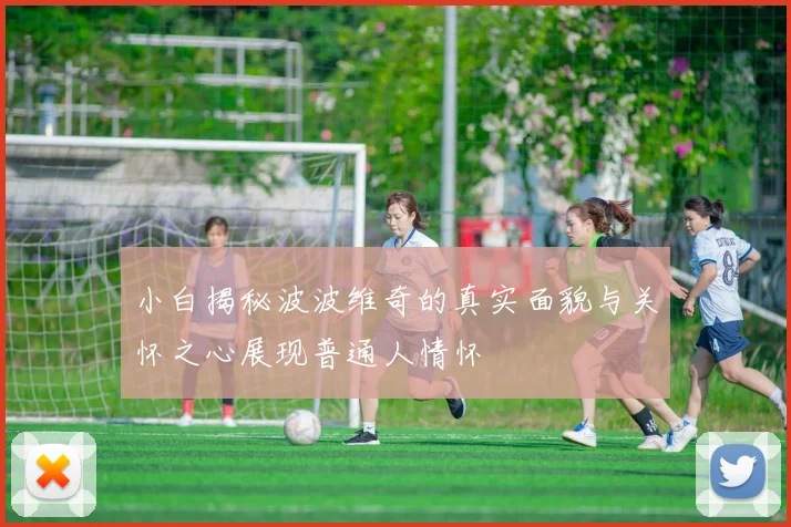 小白揭秘波波维奇的真实面貌与关怀之心展现普通人情怀