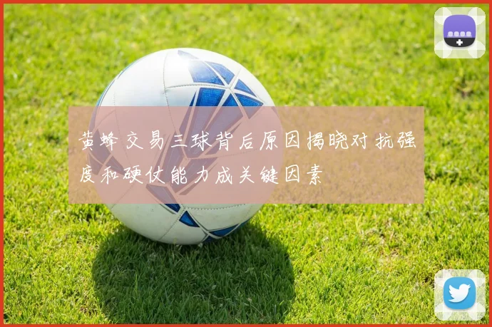 黄蜂交易三球背后原因揭晓对抗强度和硬仗能力成关键因素